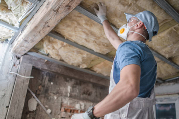 Types of Insulation We Offer in Beaver, PA